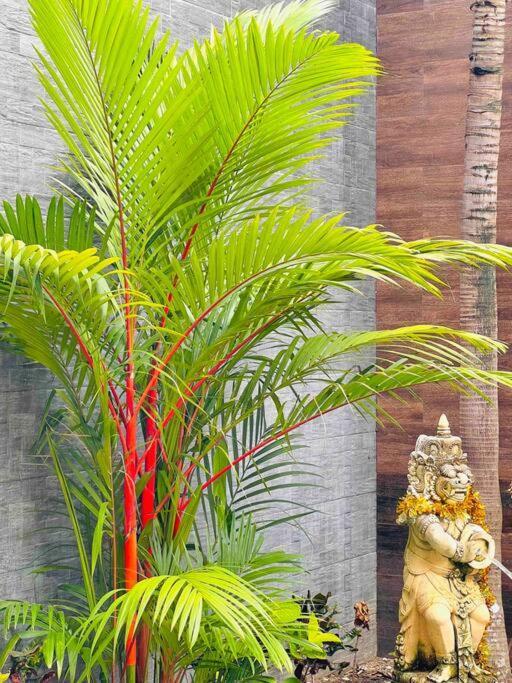 विला Lora: Retreat For Tranquility And Bliss